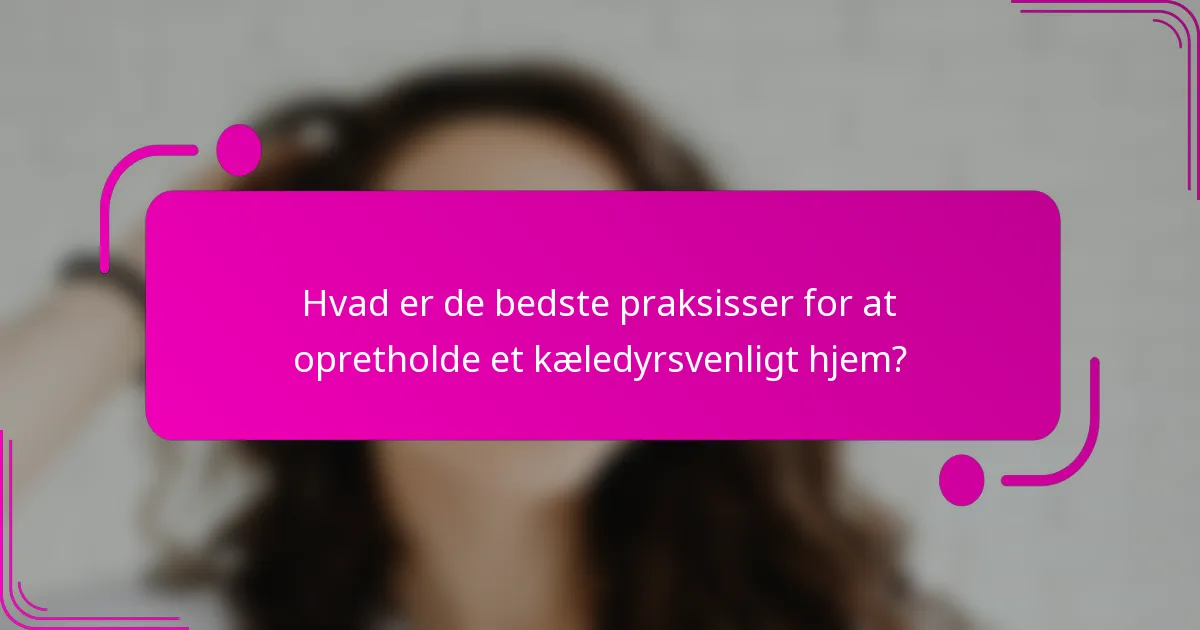 Hvad er de bedste praksisser for at opretholde et kæledyrsvenligt hjem?