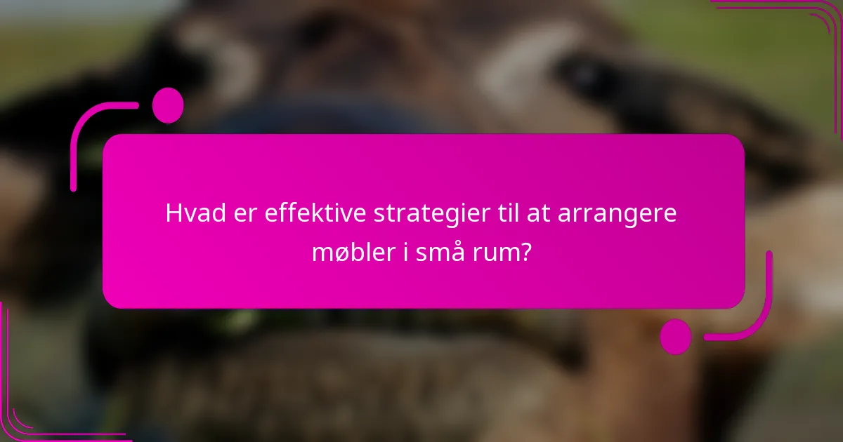 Hvad er effektive strategier til at arrangere møbler i små rum?