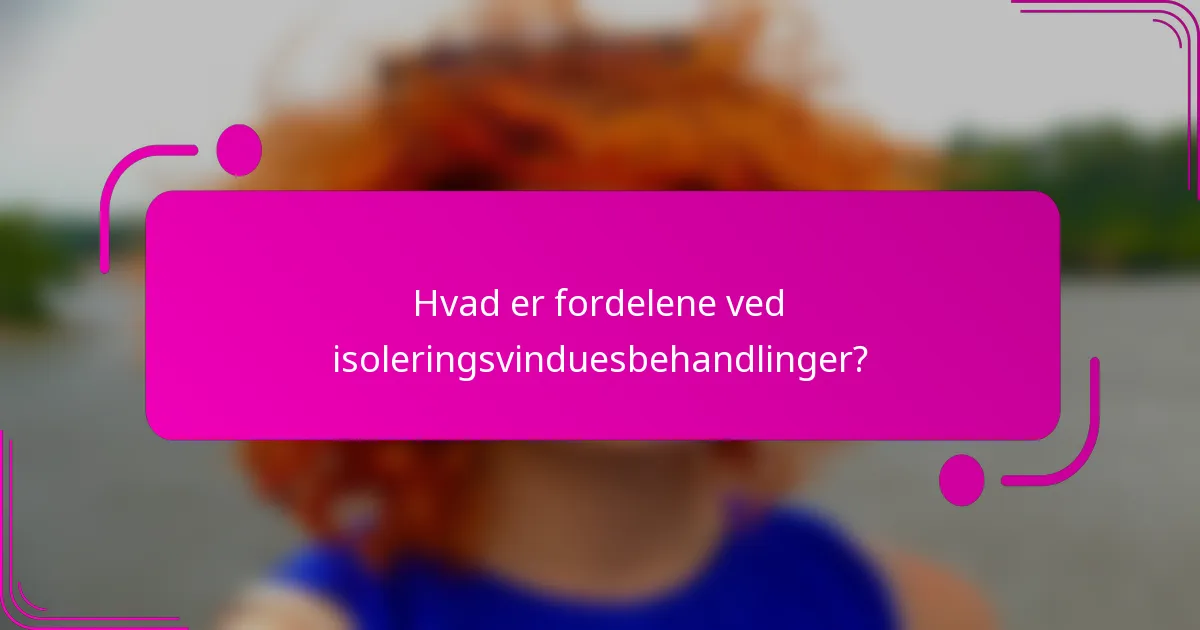 Hvad er fordelene ved isoleringsvinduesbehandlinger?